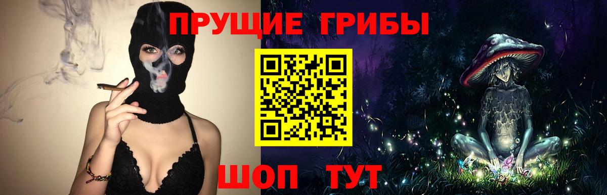 Прокопьевск  Псилоцибиновые грибы Cubensis  Вход с VPN  Галлюциногенные грибы MAGIC MUSHROOMS 